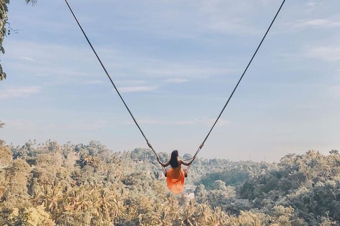 Bali Swing, Monkey Forest and Waterfall Private Tour - Seminyak Pickup and a 10-Hour Rhythm You Can Handle