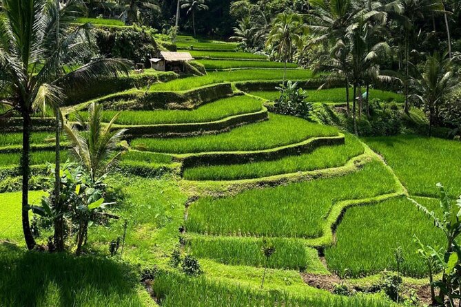 Bali Swing, Monkey Forest and Waterfall Private Tour - Kanto Lampo Waterfall in Gianyar: Tiered Rocks and Swim Options