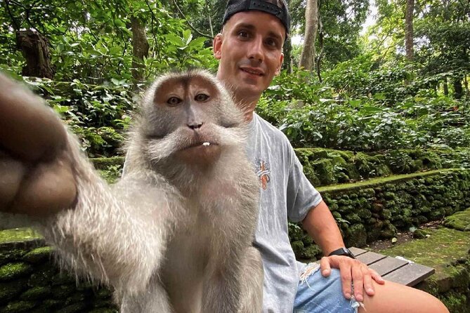 Bali Swing, Monkey Forest and Waterfall Private Tour - Tibumana Waterfall: A Calmer Cascade for a Refreshing Break