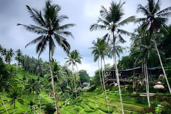 Bali Swing, Monkey Forest & Temples Guided Tour - Stop 1: Sacred Monkey Forest Sanctuary, Temples, and Free-Roaming Moods