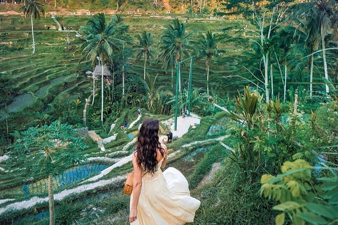 Bali Tour : Best Attractions in Ubud with Rice Terrace - Why this Ubud day tour works for first-timers