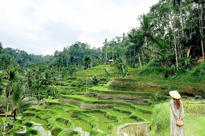 Bali Tour : Best Attractions in Ubud with Rice Terrace - The route: Monkey Forest, Elephant Cave, and Saraswati Temple