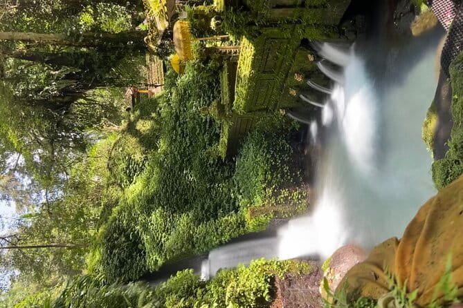Bali Tour Driver - Puseh Batuan Temple: local Hindu life, ornaments, and respectful viewing