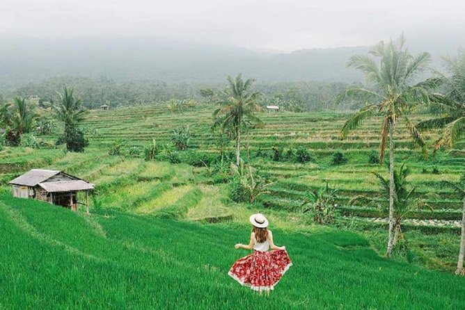 Bali Tour Package 9 Days 8 Nights - Guides and service: the names behind the smooth days