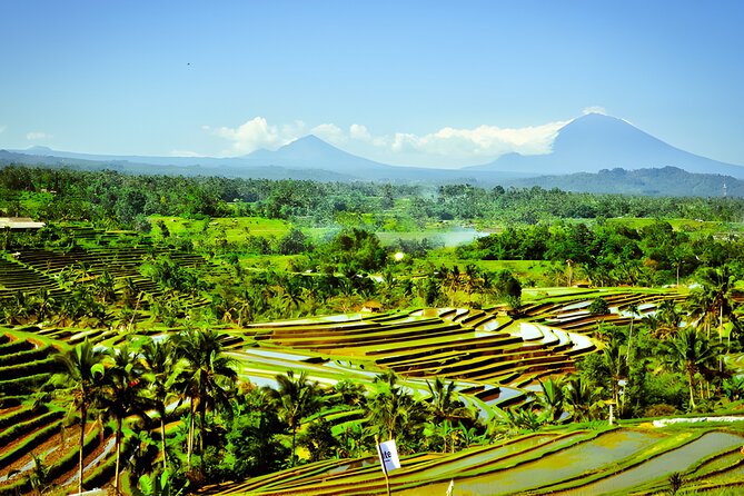 Bali Tour: The Best Way to Explore The Highlight of Bali - Stop 2: Handara Iconic Gate, Built for Photos