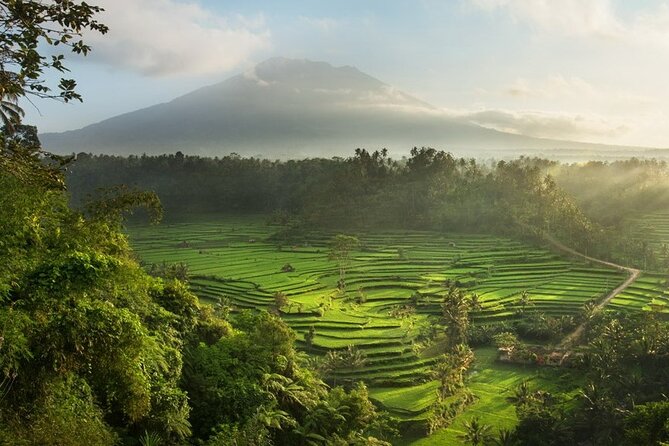 Bali Traditional Silver Class - Making Simple Jewelry Experience - Store Browsing Then Studio Crafting: How the Day Moves