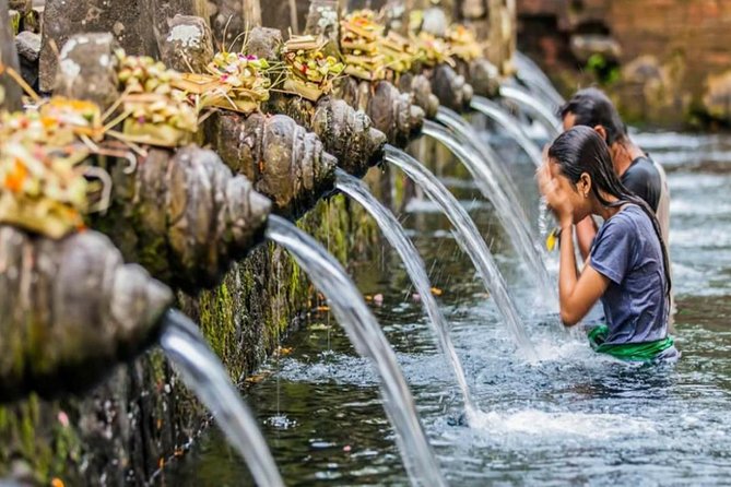 Bali Tribal Private Tour - Experience the best of Ubud, Bali - A Private Ubud Day From Seminyak With Real Flexibility