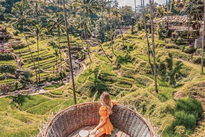 Bali: Ubud Highlights Tour with Private Guide and Transfers - Stop 5: Terrace River Pool Swing (1 Hour, Ticket Not Included)