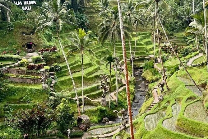 Bali Ubud Private Costomized Tour - Explore Bali your way - Mas Carving Center: Souvenirs, Art, and Watching Craft Traditions
