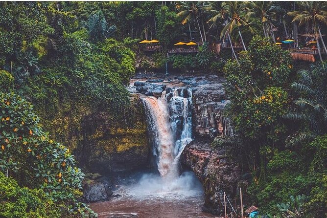 Bali Ubud private Tour with Ubud Bali Driver - FREE WIFI - Tegenungan Waterfall and Tegalalang Rice Terraces: pairing nature with views