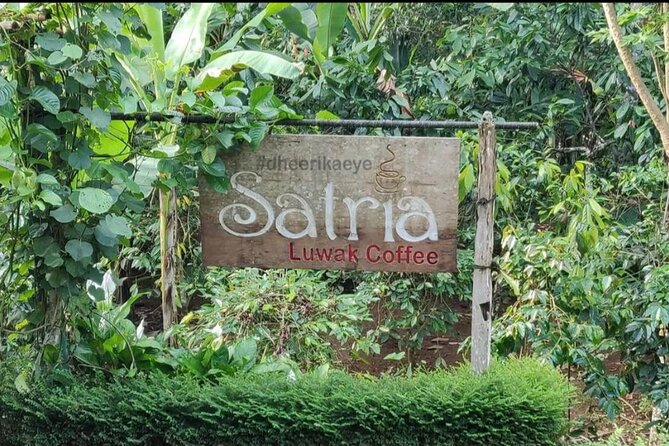Bali Ubud private Tour with Ubud Bali Driver - FREE WIFI - Silver jewelry home production and wood carving: watch the work get made