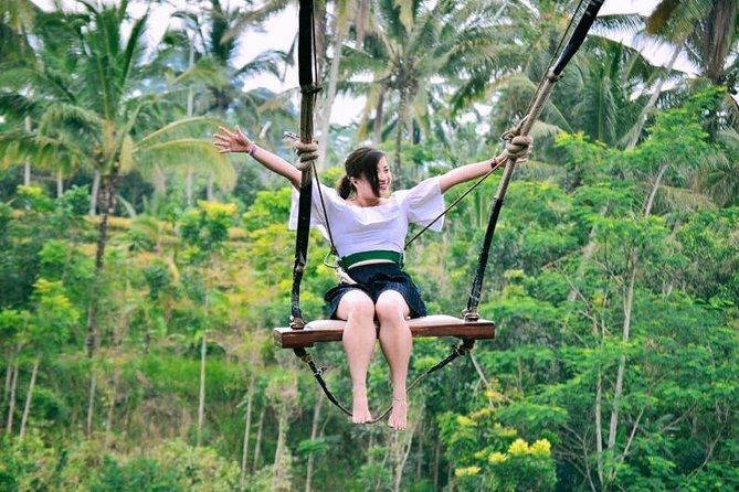 Bali Ubud private Tour with Ubud Bali Driver - FREE WIFI - Sacred Monkey Forest Sanctuary: what this stop is really for