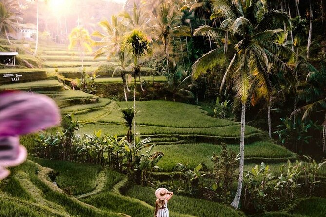 Bali Ubud Tour: Monkey Forest, Waterfall & Rice Terrace - Stop 1: Sacred Monkey Forest Sanctuary in Padangtegal