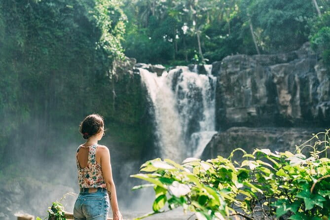 Bali Ubud Tour Monkey Forest, Waterfall, Temple & Rice Terrace - What You’re Really Buying: A Guide, Tickets, and Transportation