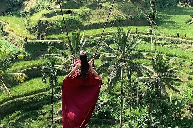 Bali Ubud Tour Monkey Forest, Waterfall, Temple & Rice Terrace - Sacred Monkey Forest Sanctuary: Wild Energy, Ancient Temple Setting