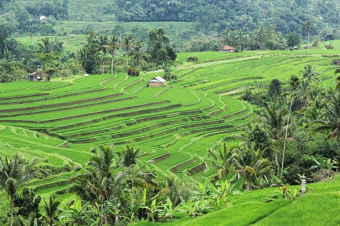Bali UNESCO Sites: Water Temples and Jatiluwih Rice Terrace Tour - Stop 4: Tanah Lot sunset, sea-temple drama, and good-footwork rules