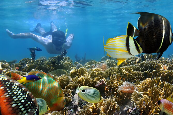 Bali Water Sport Jumbo Packages - Safety Gear, Insurance, and the Stuff You Should Actually Notice
