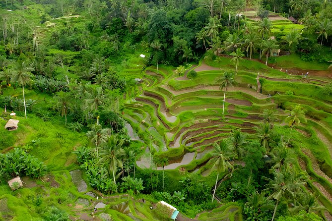 Bali Water Sports and Ubud Tour Packages - The drive rhythm from coastal Seminyak areas to Ubud