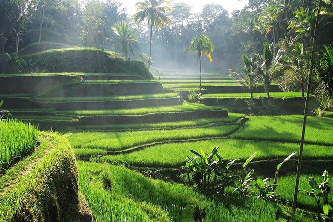 Bali Waterfall in One Day Tours, Hidden Waterfall - All Inclusive - The Guide Makes or Breaks This Kind of Day Trip