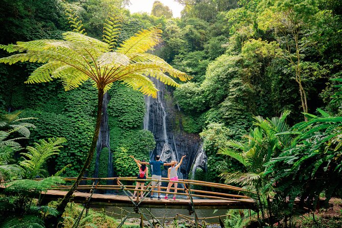 Bali Waterfall Tour – Hidden Spot All Inclusive Private Day Trip - Banyumala Twin Waterfalls Hike, Hydrangeas and a Cooling Pool