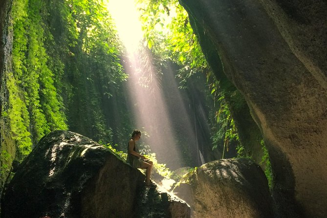 Bali Waterfalls and Temples Tour - A Private Ubud Day That Links Waterfalls and Sacred Sites