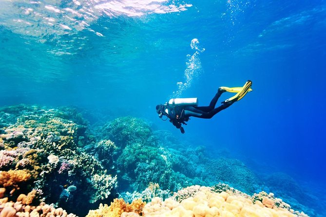 Bali Watersport Activities - Great Discount Package - Price and Value: Why $45 Can Be a Good Deal in Bali