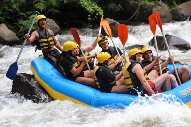 Bali White-Water Rafting Adventure - Who this trip is best for