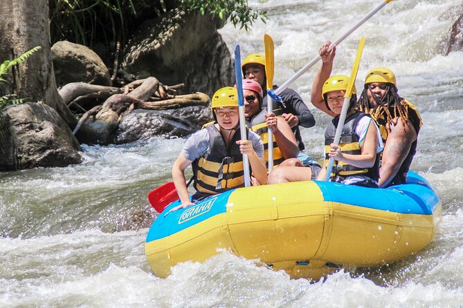 Bali White Water Rafting Adventure at Ayung River Bali - Who should book this Ayung River adventure, and who should plan differently