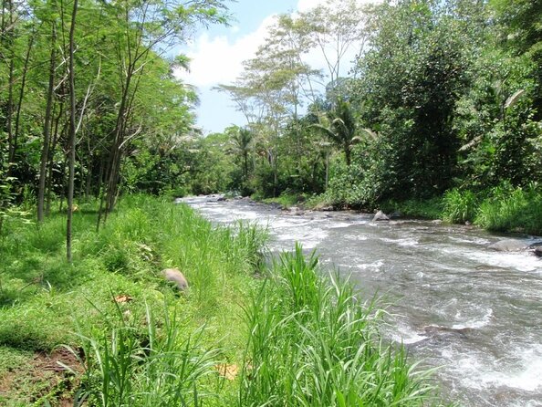 Bali White Water Rafting at Telaga Waja River - Key highlights and practical takeaways