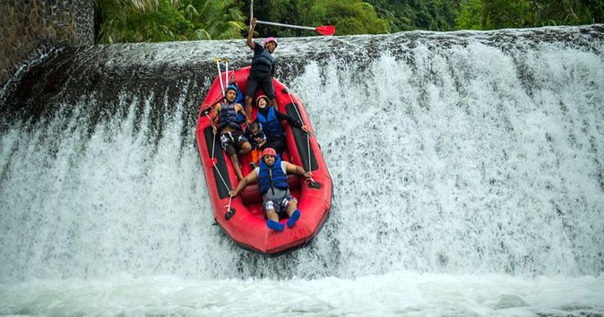 Bali White Water Rafting at Telaga Waja River - Rafting the Telaga Waja River: jungle, rice paddies, and the waterfall finish