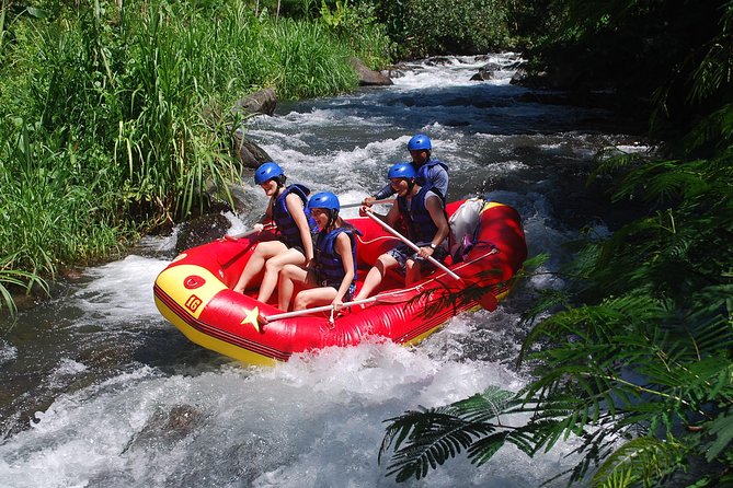 Bali White Water Rafting at Telaga Waja River - Price and value: what $39.39 covers