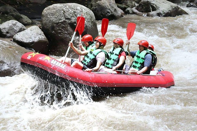 Bali White Water Rafting - Infinity - Price and Value at $47: What You Get for a Half-Day Adventure