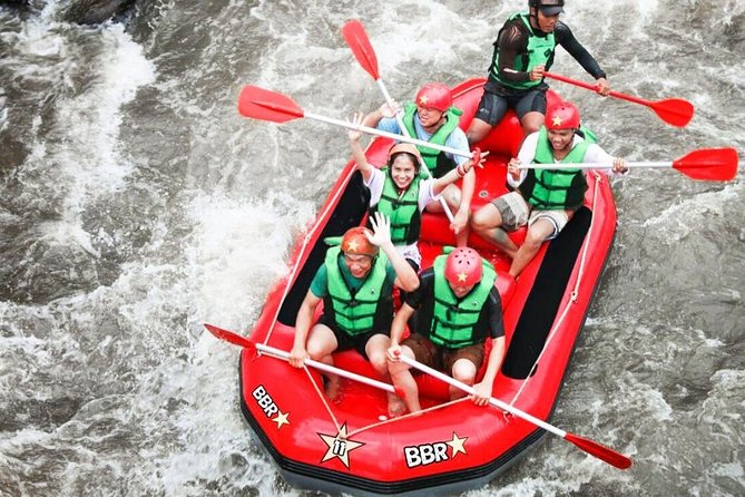 Bali White Water Rafting - Infinity - Raft the Ayung: Jungle, Waterfalls, Wildlife, and Swim Stops