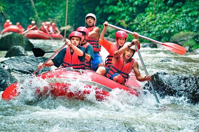 Bali White Water Rafting on Ayung River with Lunch - Safety Briefing and Gear: Helmet, Paddle, Life Jacket, Waterproof Bag