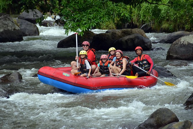 Bali White Water Rafting with Lunch - Who this trip suits best (and who should think twice)