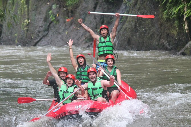 Bali White Water Rafting with No Steep Access - Quick take: what you can expect from Ayung River rafting