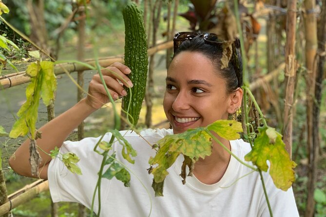 Balinese Authentic Cooking Class in Ubud - Starting at a Traditional Morning Market (Morning Classes Only)