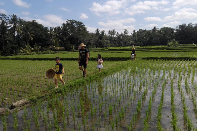 Balinese Cooking Class at Organic Farm - Ingredient Picking at the Community Farm: Real Farm-to-Table, Not a Prop