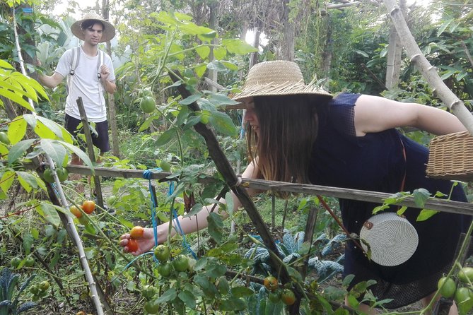 Balinese Cooking Class at Organic Farm - Six Balinese Dishes on Wood-Fired Heat: What You’ll Cook