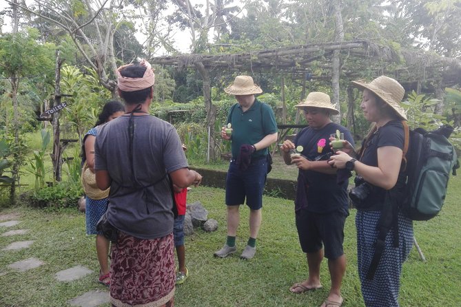 Balinese Cooking Class at Organic Farm - Lunch in a Gubuk Hut: Communal Eating With Calm Energy