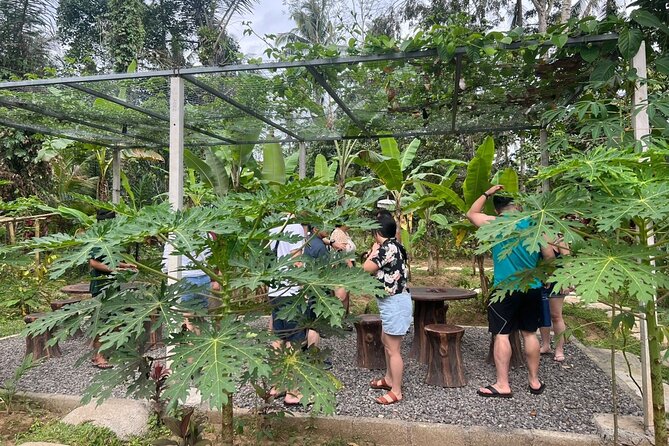 Balinese Cooking Class with Traditional Market Tour - Timing and Transfers: Getting the Most Out of a Ubud Morning