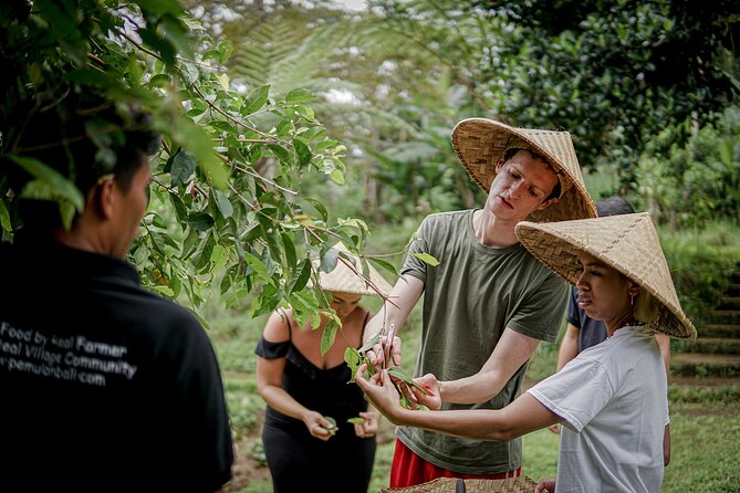 Balinese Farm Cooking Class by Pemulan Bali - The farm garden tour and picking herbs and greens