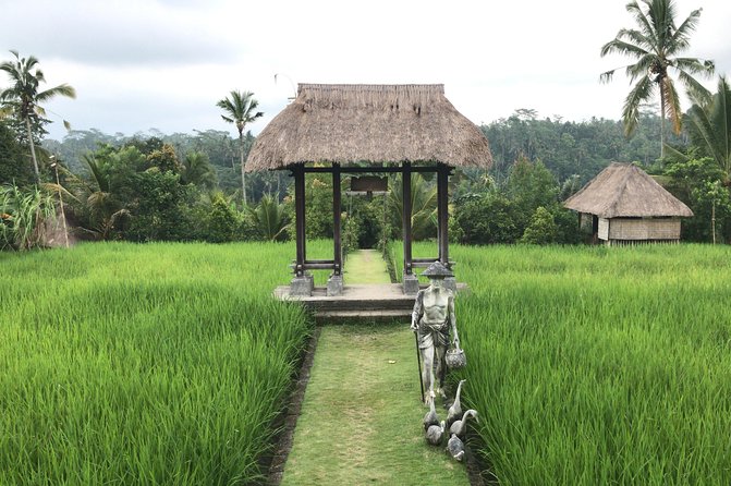 Balinese Life Style Tour - Kintamani and Mount Batur views: volcanic scenery with real payoff