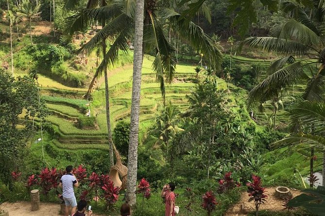 Balinese Life Style Tour - Coffee and tea at Segara Windhu: the calm ending you’ll remember