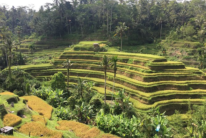 Balinese Life Style Tour - The guide factor: why having time to ask matters