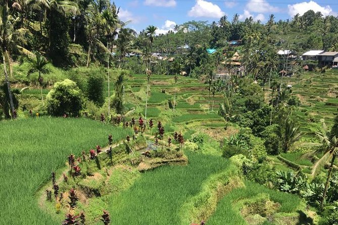 Balinese Life Style Tour - Price and what you really get for it