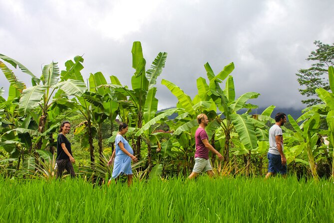Balinese Vegan Cooking Class with Fresh Harvesting & Garden Tour - Harvesting fresh fruits and vegetables in the garden