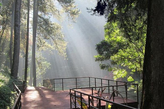 Bandung Private Tour Mountain Volcano and Hotspring ( Overland ) - Key highlights worth planning for