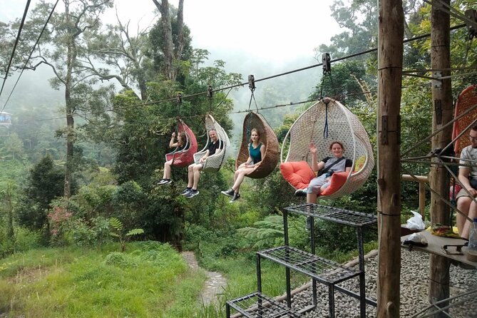 Bandung Tour All In, White Crater, Volcano Mountain, Hot Spring - Petik Strawberry Ciwidey: self-pick fun with a clear 40-minute window