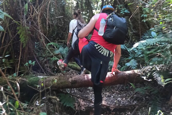Bandung Tour Volcano, Hotsprings, Mud, Tea, Lunch all Included - Price and value: why $59.90 can make sense in Bandung